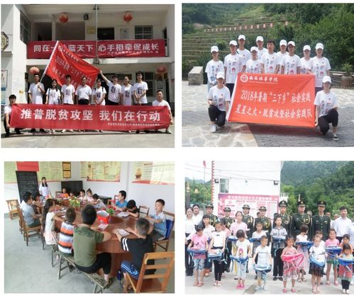 社会实践活动形式有哪些？