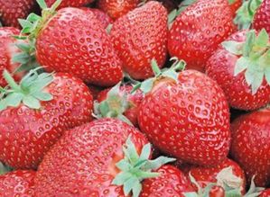 草莓上火还是降火快