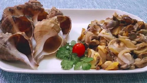 海螺怎么煮好吃