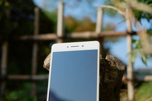 oppor7sm和r7s有什么不同