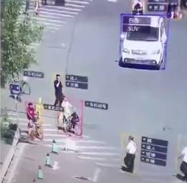 中国天网系统,中国天网行动