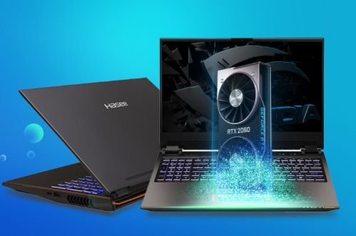 神舟笔记本电脑官网