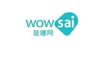 哇噻网是什么快递？