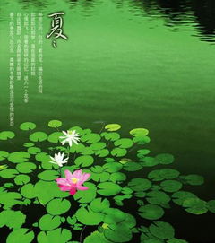 一年12个月怎么分四季