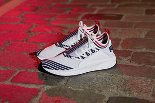 PUMA中文是什么意思？