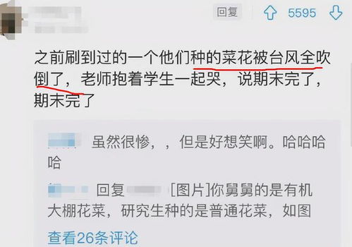 爱莫能助意思是什么意思 新闻