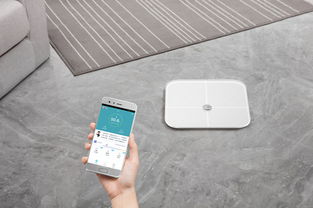 荣耀体脂秤老是显示Lo