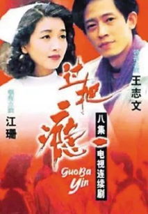 电视剧过把瘾免费全集播放