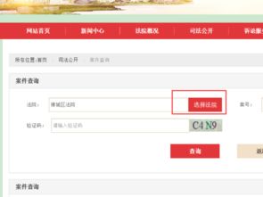 有执行案号怎么查案件内容