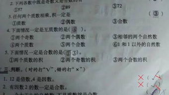 互质数是什么意思举例,两个数互质是什么意思