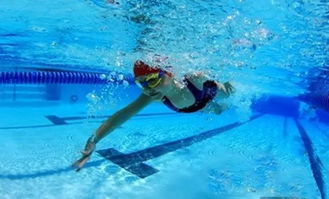 游泳的英语怎么读swim怎么读