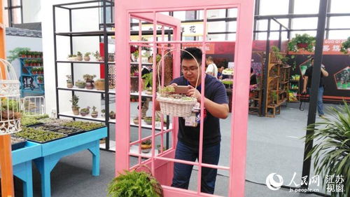 江苏 宿迁 沭阳县 庙头镇的镇长及副镇长分工（包括