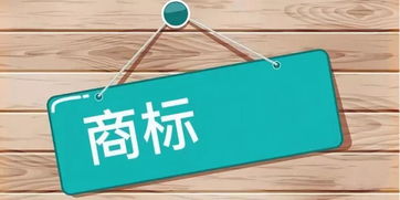 如何查企业信息查询