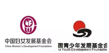 中国青少年发展基金会怎么样？