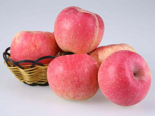 苹果手机所有产品有哪些