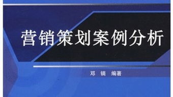 营销策划的实例