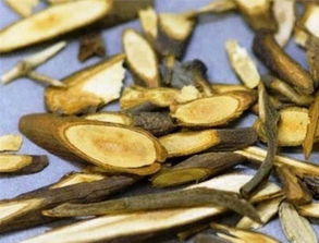 桂枝的作用与功能？