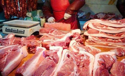 包饺子馅用什么材料好吃