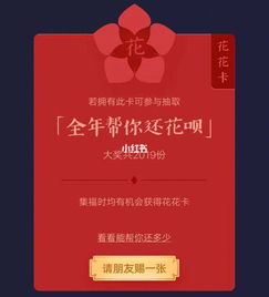 我的花花卡这是什么意思