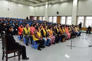 新型的传销骗局有哪些