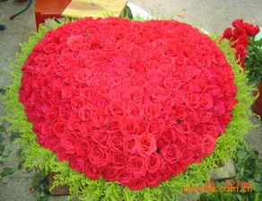 5朵玫瑰代表什么意思