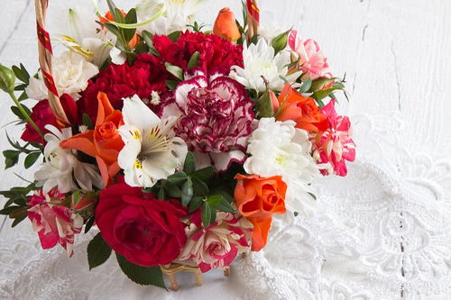 康乃馨代表什么花语,康乃馨代表什么含义