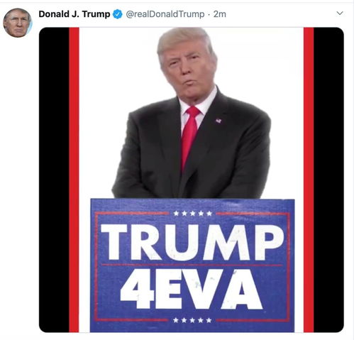 苹果手机如何使用推特？具体详细 方法请说完整