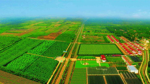 花乡沭阳原书记薛浦伦现在哪里任职