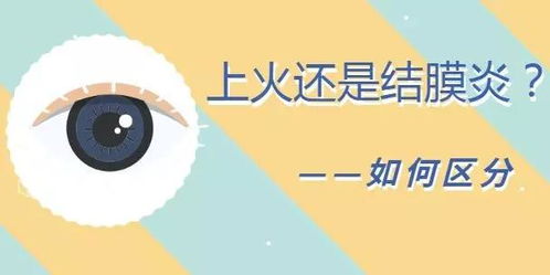 眼结膜炎是怎么引起的