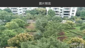 郑州紫田网络科技有限公司怎么样？