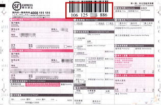 顺丰快递怎么查单号？