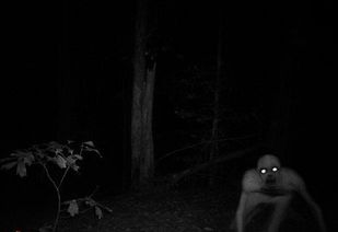 世界上的十大鬼故事。