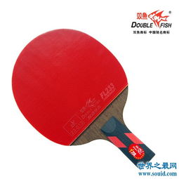 乒乓球拍品牌排行，什么牌子的乒乓球拍好？