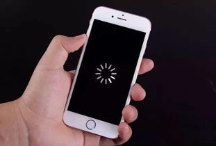 苹果6尺寸多大,苹果6的尺寸