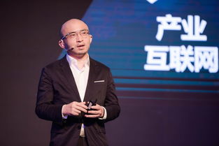 包凡的个人简介