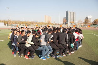 如何增强团队协作能力