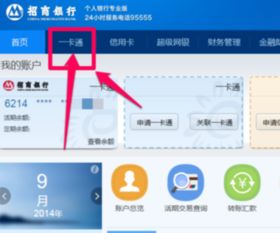 网银在线北京科技有限公司是什么,网银在线扣款是什么原因