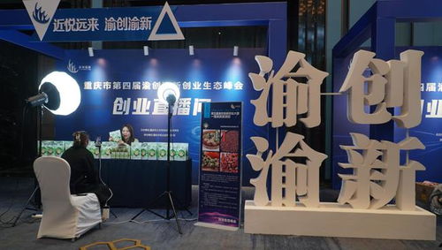 自己在网上怎么创业,互联网怎么创业赚钱