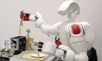 市场上常见的家用机器人主要有哪几个种类