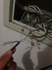 网线可以接吗?,怎样接网线