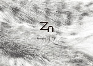 毛菇小象(宁波)品牌管理有限公司怎么样？