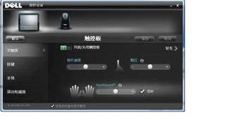 dell触摸板驱动在哪下载啊