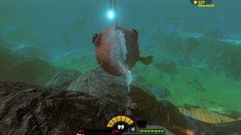 灯笼鱼 鮟鱇鱼,灯笼鱼 彩绘