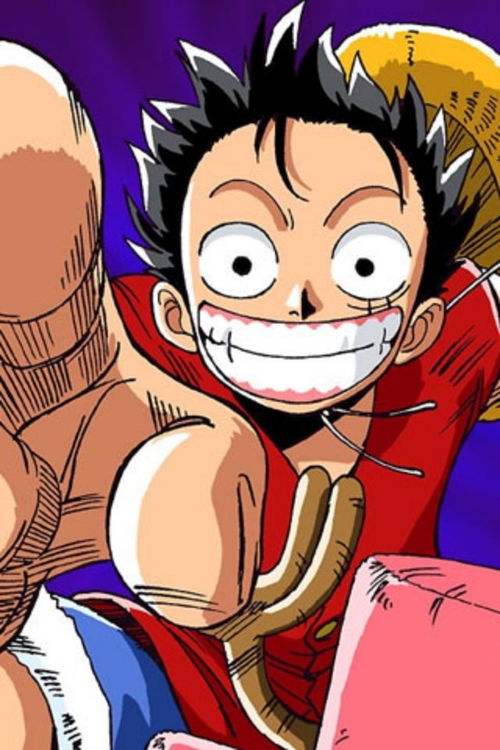 求海贼王手机主题