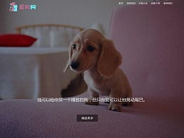 爱狗网为什么关闭,狗狗网