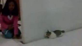 吓一跳事件分享案例,下一跳地址怎么算