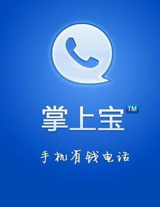 什么是掌上宝我想了解