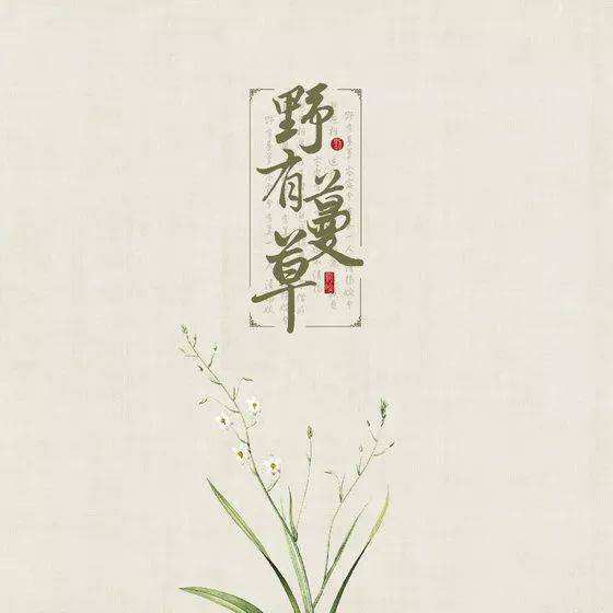 国学底蕴的名字