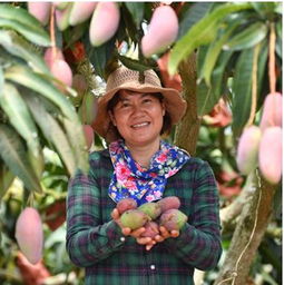 多多果园 下线,多多果园金币在哪领