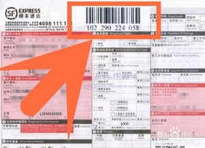 顺丰快递单号查询？